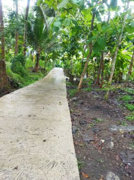 DI JUAL TANAH DI BORO KALIBAWANG KULON PROGO