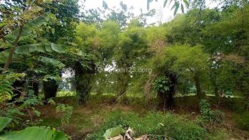 Dijual Tanah di Griya alam lt  84 m² dpn view golf