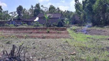 Tanah Pekarangan Luas 1.400m2.