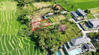 Jual Tanah View Sawah Terasering Lt 591 M2