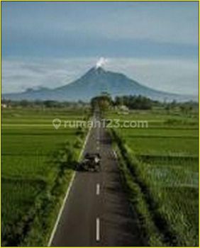 1jtan, Free Cicilan, Tanah Jogja, 20m Jln Alternatif Jl.kaliurang