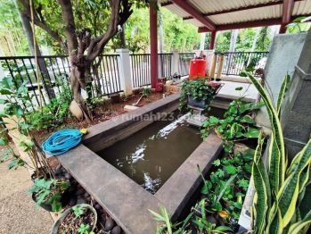 Dijual Rumah Hoek Semi Furnish Cluster Aralia, Harapan Indah 2
