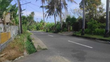 Tanah Cocok Untuk Villa Dekat Pantai Saba Blahbatuhq Gianyar