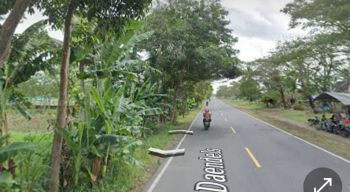 tanah murah,pinggir jalan dandels purworejo