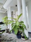 thumbnail-disewakan-rumah-1-lantai-blukid-residence-3-sidoarjo-11