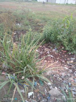 Tanah dipinggir jln raya Kemeri Tangerang