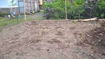 Tanah SHM Pekarangan Siap Bangun Margoagung Seyegan