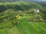 thumbnail-for-sale-special-land-with-rice-field-jungle-view-on-jalan-bukiyan-puhu-ubud-10