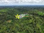 thumbnail-for-sale-special-land-with-rice-field-jungle-view-on-jalan-bukiyan-puhu-ubud-3