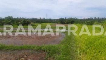 Jual Tanah Lahan Pemukiman 1,06 Hektar View Sawah Gunung Dekat Tol Lingkar Soka