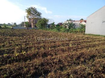 Tanah Kavling Area Margajaya Bogor Dekat Kampus Ipb Dramaga