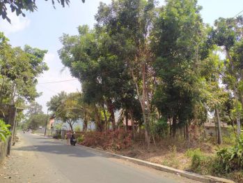 Harga di Bawah Pasar, Tanah Jogja Dekat Exit Tol Prambanan