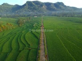 Hanya 800 Rb, Investasi Dekat Wisata Gamplong Studio