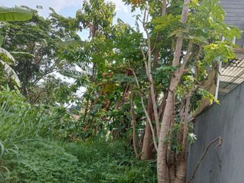 Di Jual Tanah Kavling Permeter Gumil Raya Belakang Sentra Duta