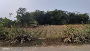 Dijual Murah Tanah di Pagaden Subang dekat tol Cipali strategis