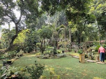 Tanah Luas Di Jagakarsa Jakarta Selatan S6499