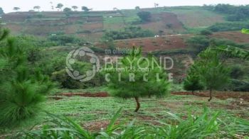 Aset Penting Buat Masa Depan Nih, Tanah Luas Shm di Dago Pakar
