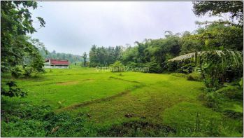 Dekat Exit Toll Sentolo Jogja, Cocok Investasi, Terima SHM