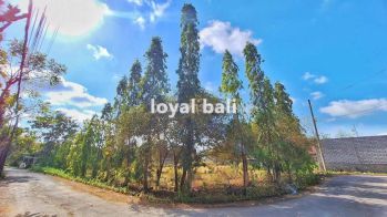 Tanah Hook 545m2 / Nice Land on corner 545m2 in Jimbaran, Bali