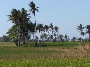 Termurah tanah di daerah Tangerang