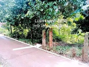 Jual tanah kebun murah luas tanah 1800 mtr surat(SHM)