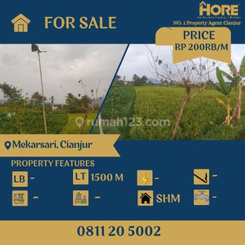 Dijual Cepat Sawah 1500 Meter di Kota Cianjur