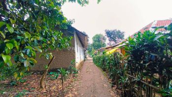 TANAH STRATEGIS PINGGIR JALAN DEKAT DENGAN PEMUKIMAN WARGA LT 356/SHM