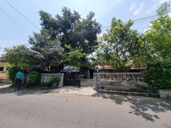 Pekarangan cocok buat homestay kota jogja dekat kraton, SHM P ready