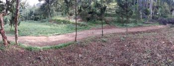 Tanah matang di pinggir Jalan Propinsi Sumedang