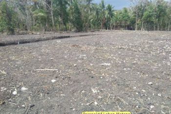 5 Menit Ke SDN Dandang 1, Kavling Perumahan, Harga Murah