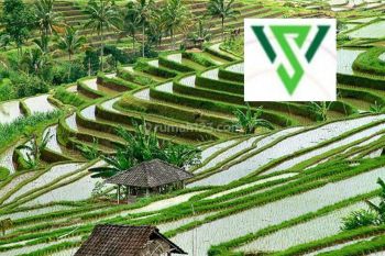 Tanah kavling murah 9jt/m raya sememi