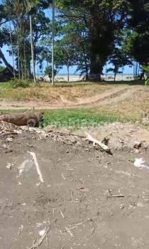 Hot List Di Jual Tanah Beachside Lokasi Batu Belig Banjar Sari Kuta Utara Badung