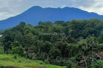 Tanah murah di jln alternatif taman safari bumi citeko cisarua