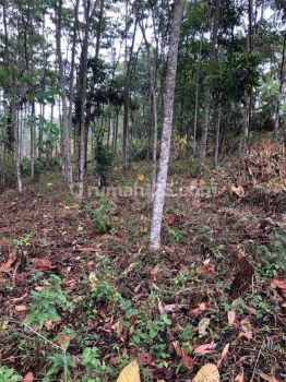 Di  Tanah Di Awiligar Cimenyan Bandung