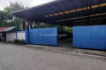 Gudang Segoro Madu Gresik Murah. Ric.a160