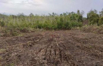 Jual cepat tanah murah tanpa perantara