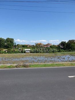 TANAH PREMIUM JL UTAMA PADANG LINJONG PERERENAN CANGGU