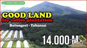 Lahan Kebun Area Pupuan Tabanan 1,4 Ha View Gunung