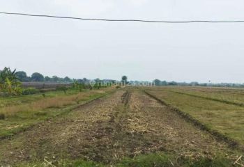 Dijual Tanah Murah Strategis di Kemuning Tarik, Sidoarjo