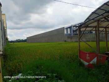TANAH SAWAH ZONA KUNING DI JLN MOJO TASIKMADU KARANGANYAR
