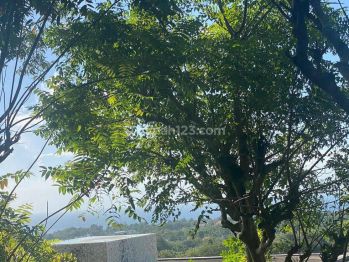 Hot List Di Jual Tanah View Laut Lokasi Jalan Pantai Cemongkak Pecatu Kuta