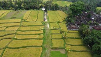 Di Jual Tanah Murah di Tegallalang View Sungai, Sawah, Dan Hutan