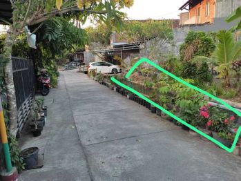 Pekarangan Murah Sorosutan Kodya Jogjakarta