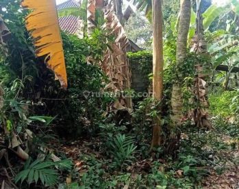 Disewakan Tanah Pinggir Sungai Dengan View Lembah di Pejeng Ubud