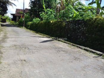 Tanah Jln palagan km 12 Donoharjo