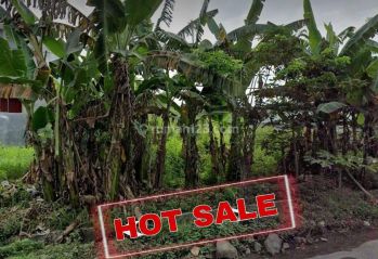 MURAH, Tanah Nol Jalan Raya Made - Alas Malang dkt Citraland