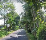 thumbnail-tanah-dijual-borobudur-tepi-jalan-utama-cocok-bangun-villa-3