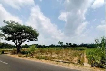 Dijual Tanah Sawah Strategis Murah