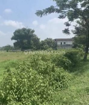 Tanah Prospek Bagus Strategis Daerah Industri Nol Jalan Raya Pantura Lamongan