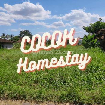 Area Jl Kaliurang Km 9, Peruntukan Hunian Villa